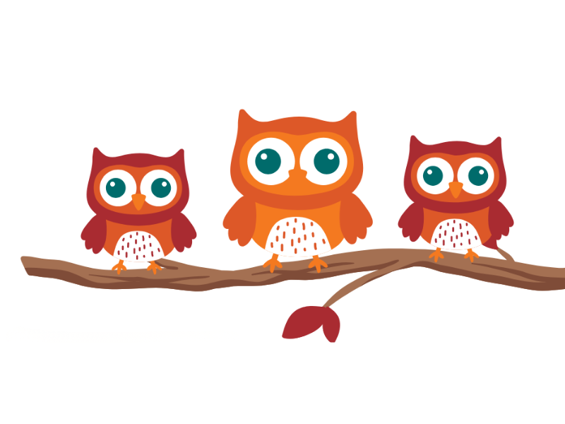 Little owls on a branch