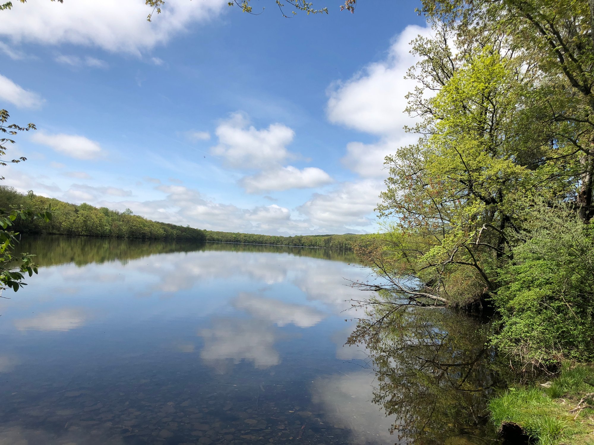 Fairview Lake YMCA Camps