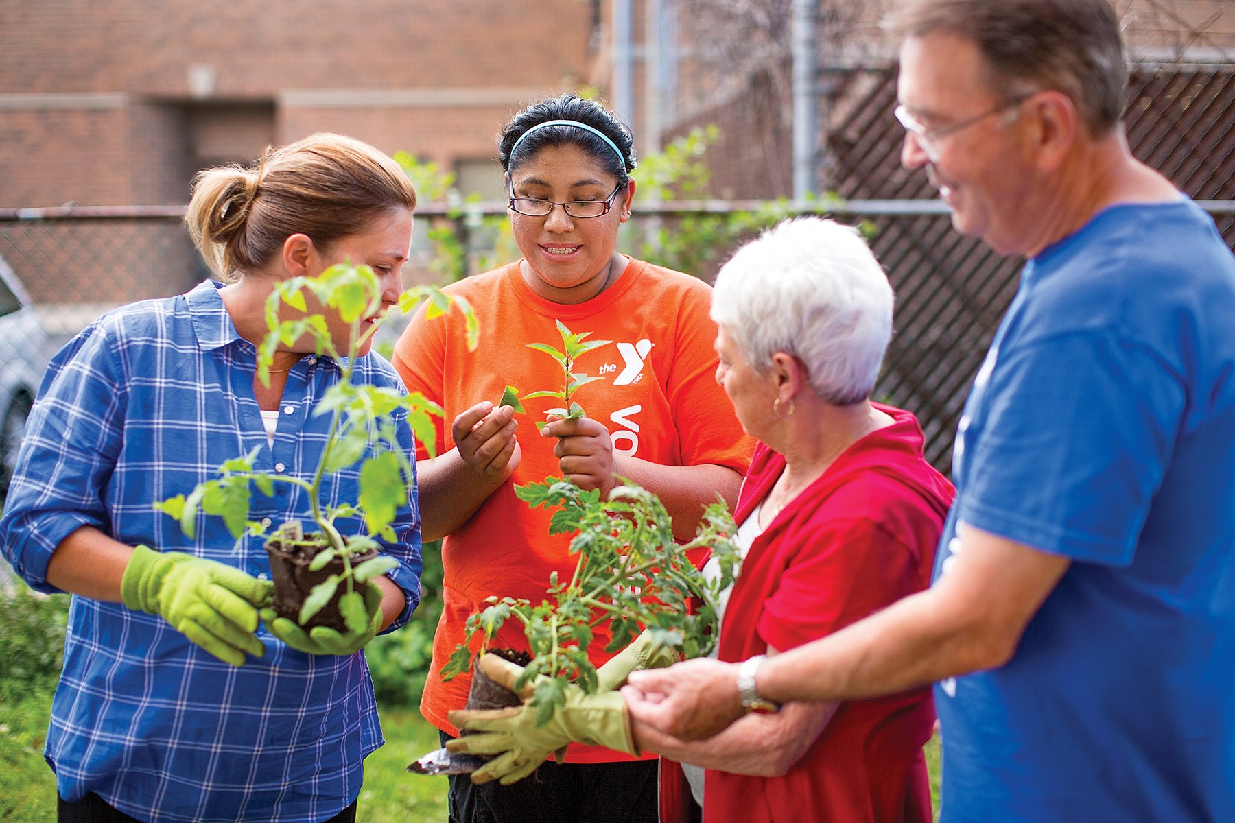 YMCA members volunteering in the garden at the YMCA