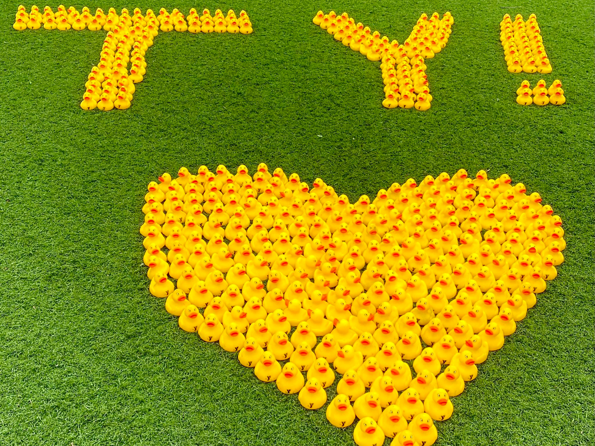 Thank you and a heart spelled out with rubber ducks 